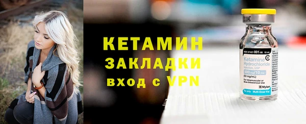 хмурый Аркадак