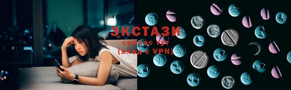 хмурый Аркадак