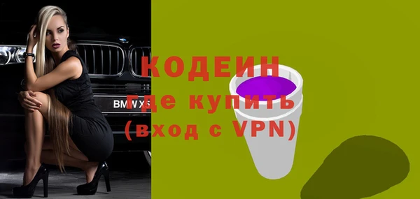 хмурый Аркадак