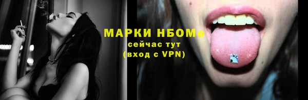 хмурый Аркадак