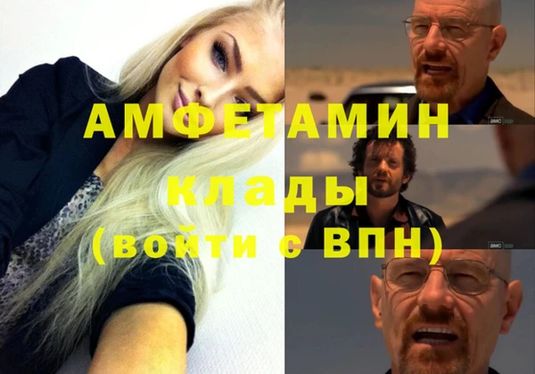 хмурый Аркадак