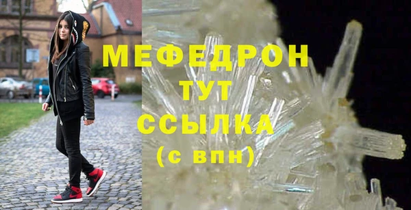 хмурый Аркадак